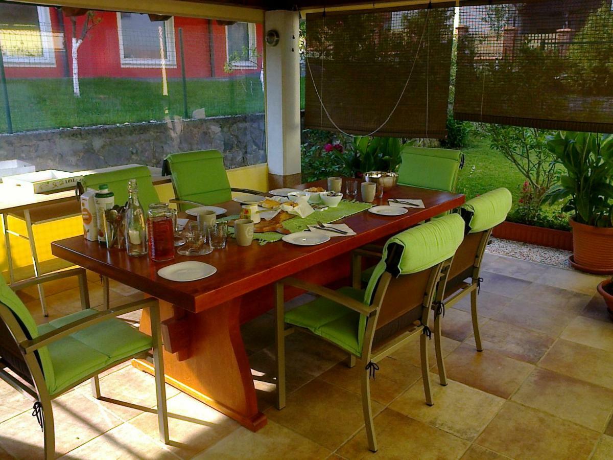 Yellow Dreamhouse Postojna Extérieur photo